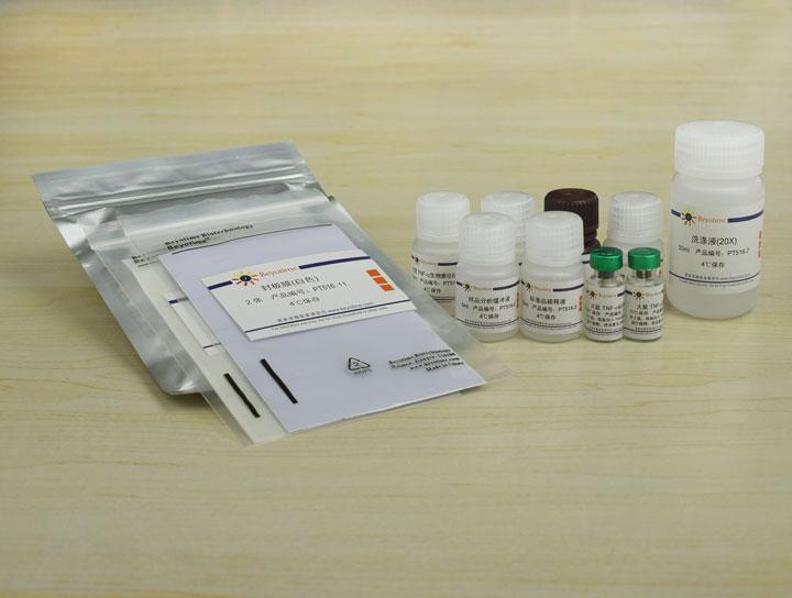 Rat TNF-α ELISA Kit